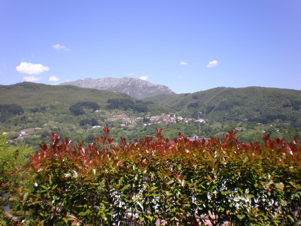 B&B Da Franca Camporgiano Exteriör bild