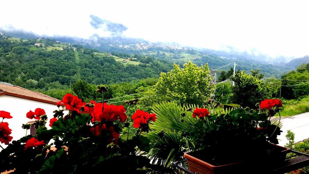 B&B Da Franca Camporgiano Exteriör bild